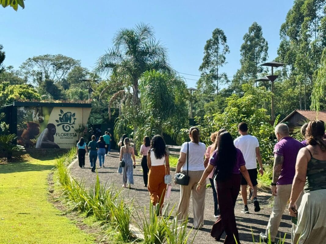 Floresta dos Primatas - Foto: divulgação Eco Park Foz Floresta dos Primatas - Foto: divulgação Eco Park Foz