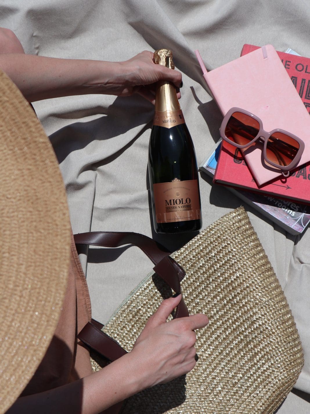 TAP brinda retomada do voo Lisboa-Porto Alegre com Miolo Cuvée Brut - Foto: divulgação