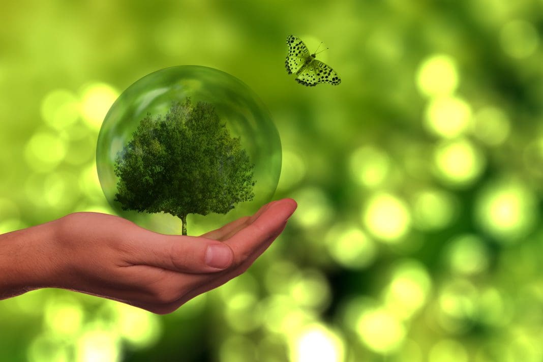 Mavsa Resort amplia práticas ESG e recicla ou reaproveita 155 toneladas de resíduos nos últimos 3 meses - Foto: Pixabay