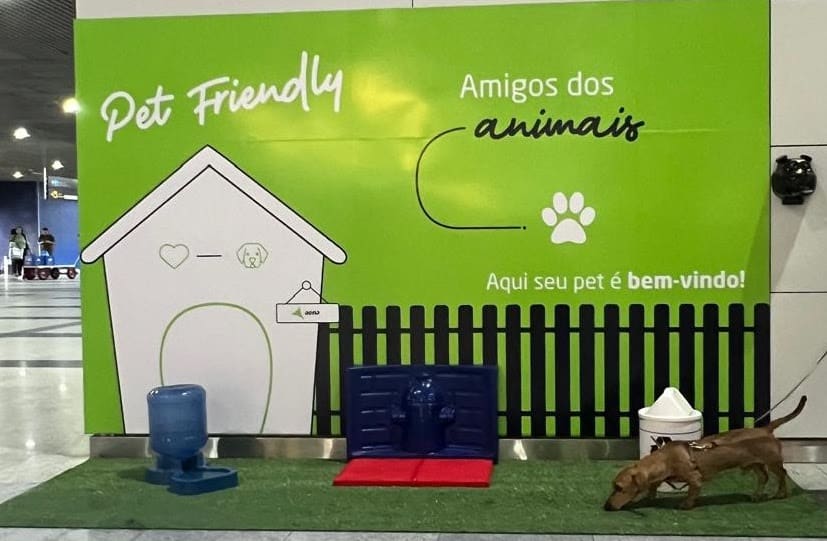 Aeroportos da Aena ganham espaços pet-friendly - Foto: divulgação