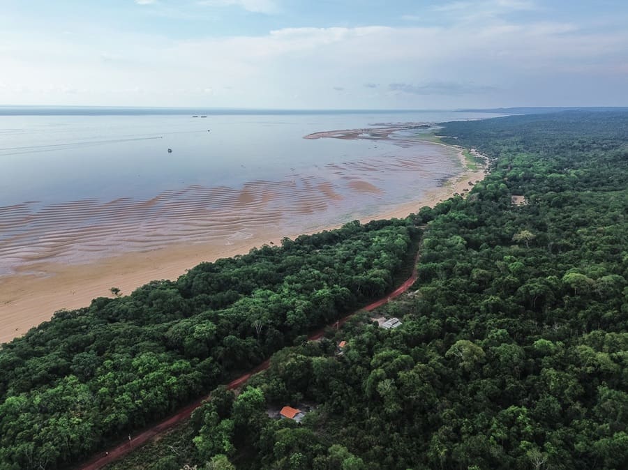 Tapajós National Forest, Pará, Brazil Cop30