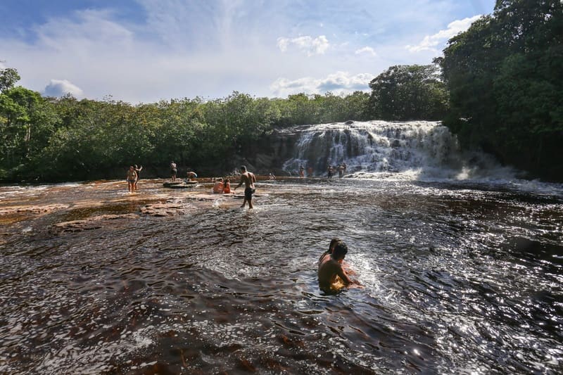 Dia da Amazônia