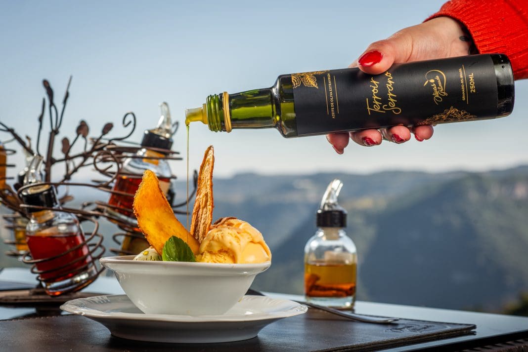 Divulgação Terroir 1 O azeite Terroir Serrano, produzido pelo Olivas de Gramado, recebeu medalha de ouro no NYIOOC 2025, maior concurso de azeites do mundo - Foto: divulgação