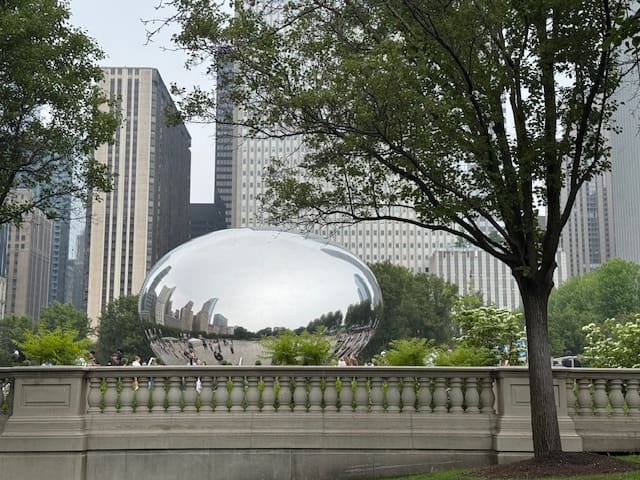 image0 (11)