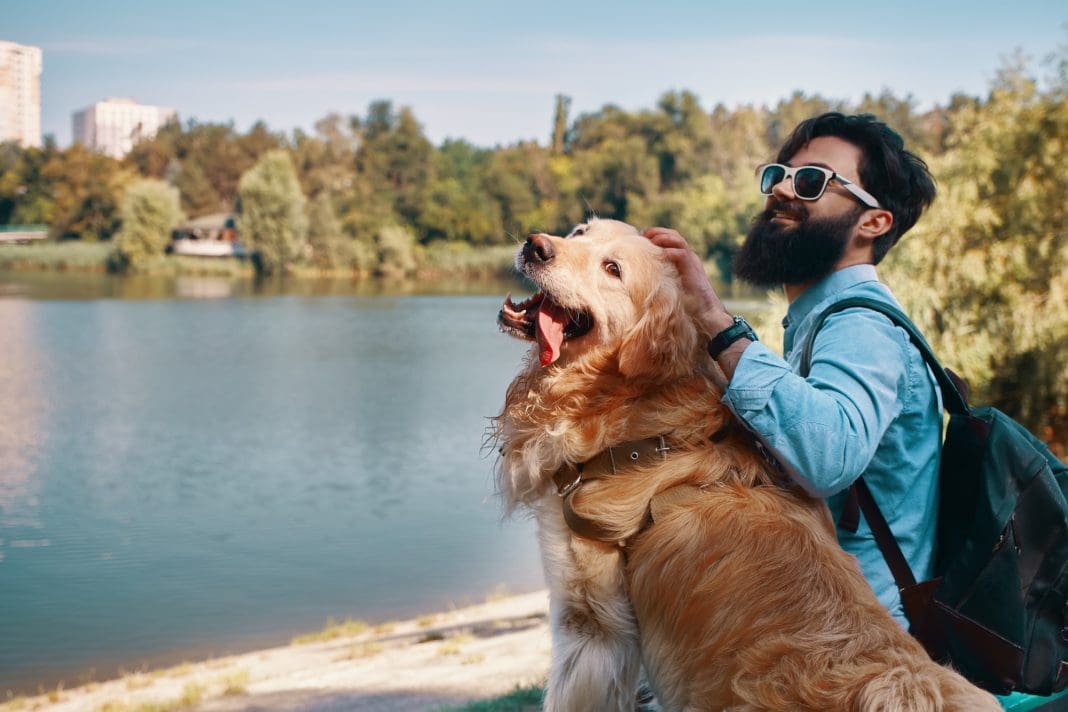 4269 Preparar o pet com antecedência garante mais segurança e tranquilidade durante as férias de fim de ano. Foto: Freepik
