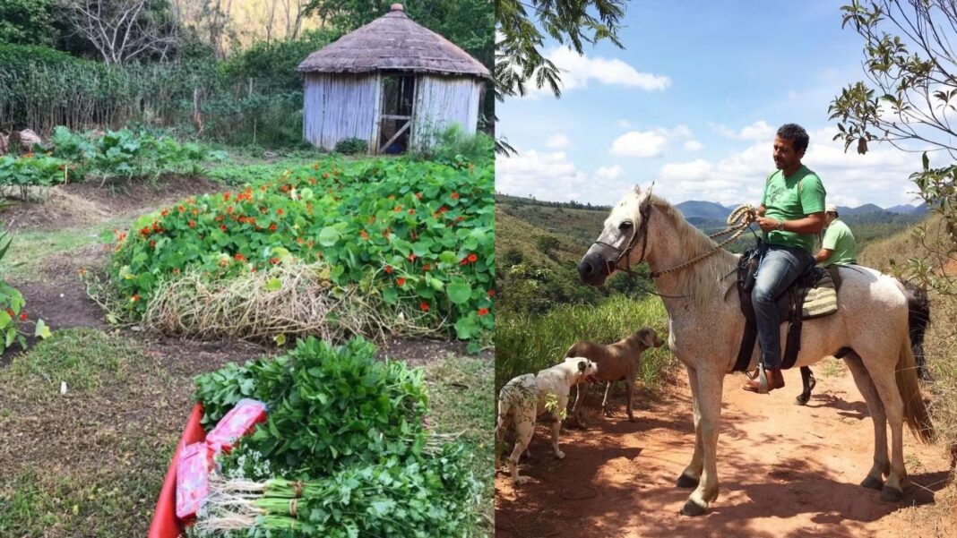 Vale das Palmeiras une agrofloresta, produção orgânica e turismo rural. — Foto: Instagram