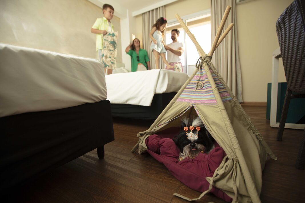 Hot Beach Parques & Resorts investe em turismo pet friendly para atender novo perfil do viajante brasileiro - Crédito: divulgação Hot Beach Hot Beach Parques & Resorts investe em turismo pet friendly para atender novo perfil do viajante brasileiro - Crédito: divulgação Hot Beach