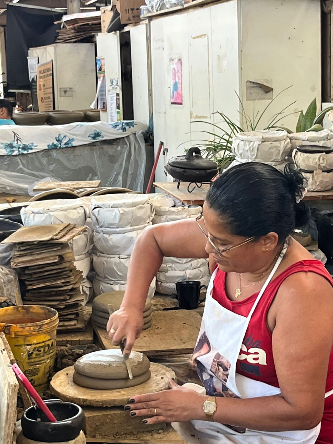Paneleiras de Goiabeiras