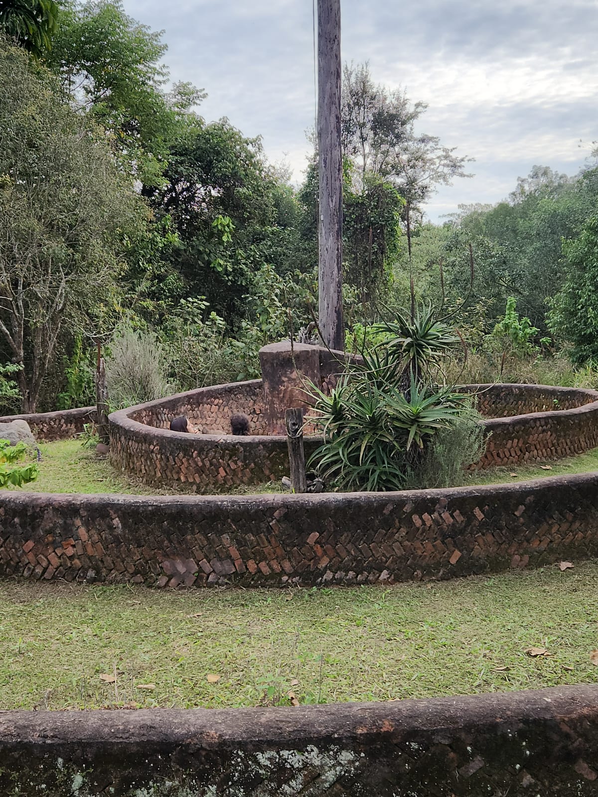 Intervenções paisagísticas e obras permanentes transformam o território da Fazenda Serrinha em um museu a céu aberto. - Crédito: Reinaldo Canto