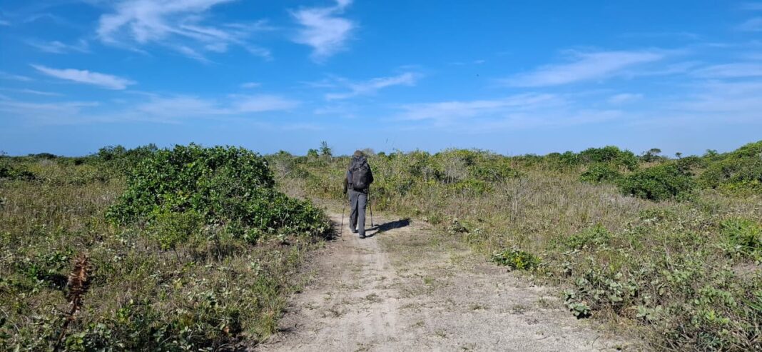 Governo de São Paulo lança Rede Estadual de Trilhas para integrar turismo sustentável e conservação ambiental - Crédito: divulgação Fundação Florestal Governo de São Paulo lança Rede Estadual de Trilhas para integrar turismo sustentável e conservação ambiental - Crédito: divulgação Fundação Florestal